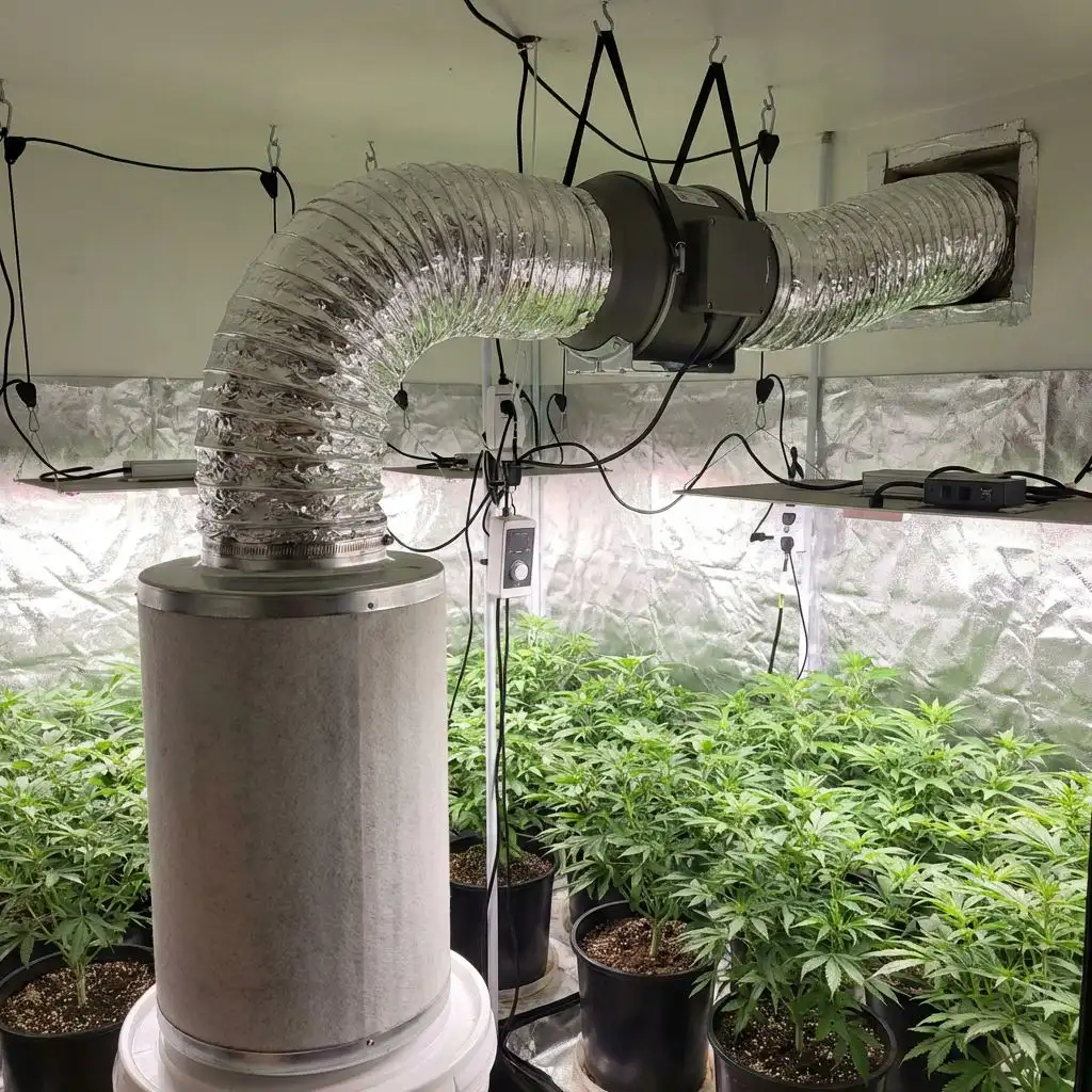 Ventilation & Carbon Filters