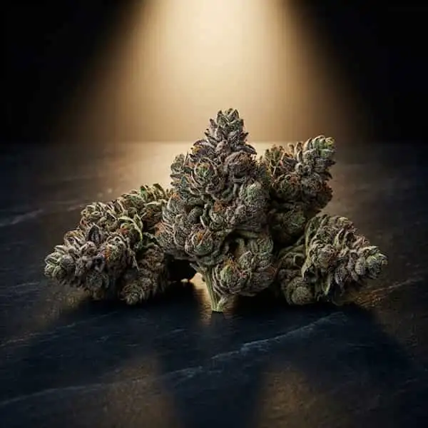 Bestsellers cannabis seeds