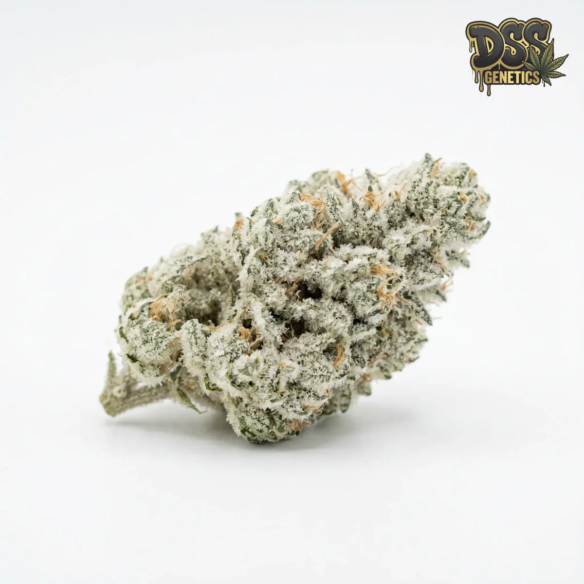 Alaskan Ice grow guide