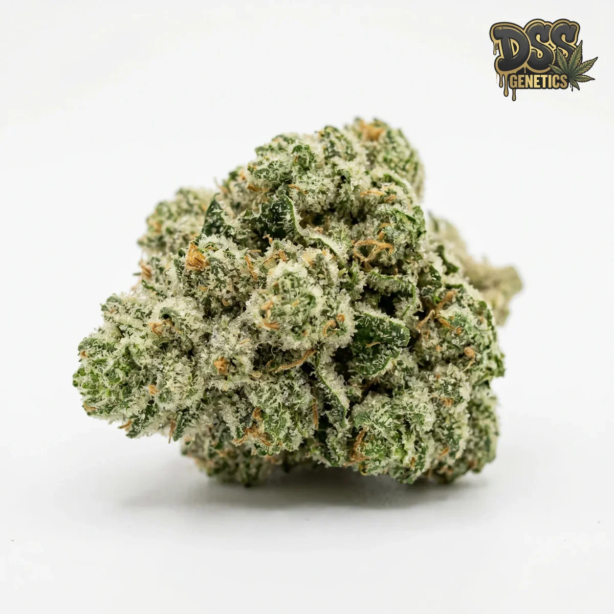 Alien Rock Candy grow guide