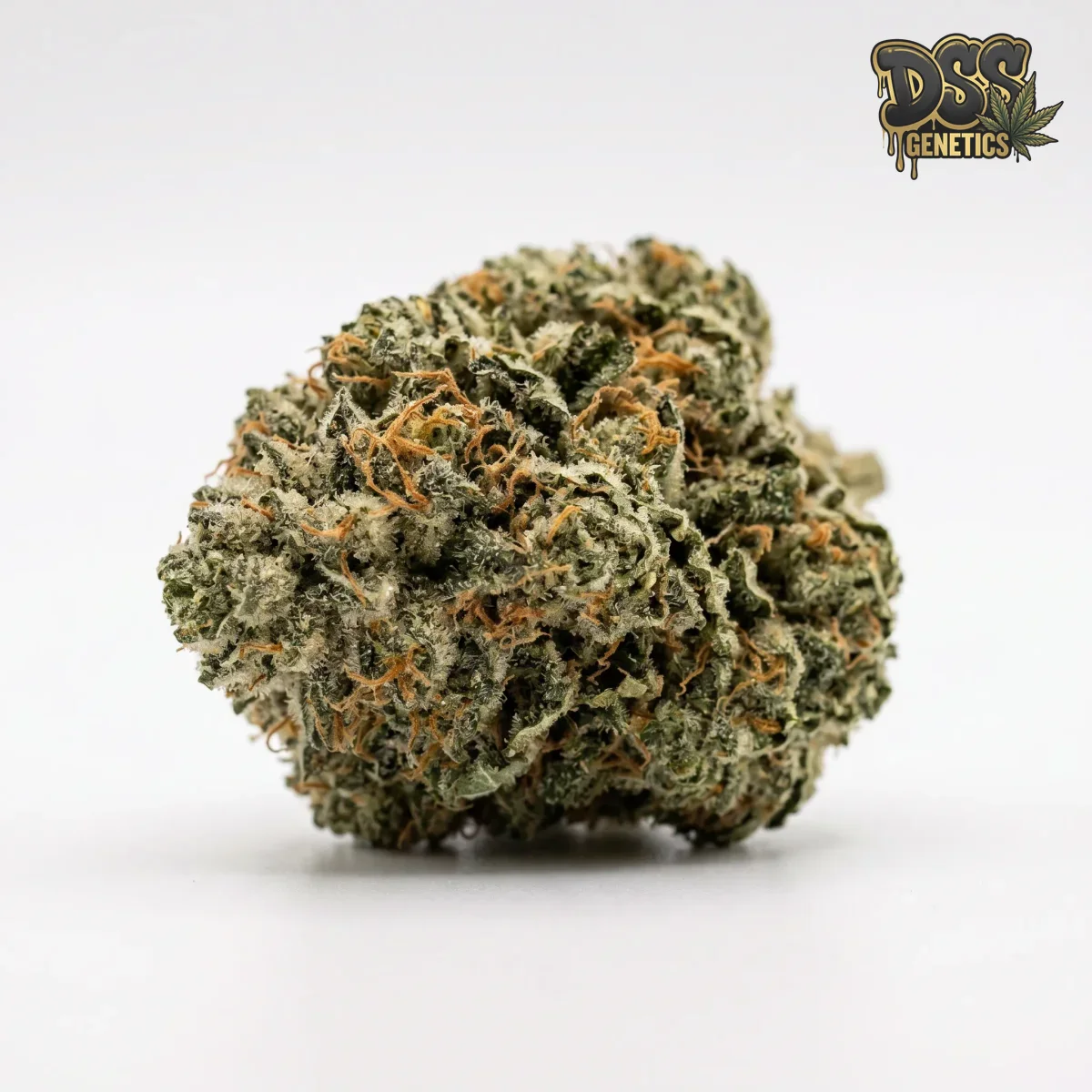 Alien Technology grow guide