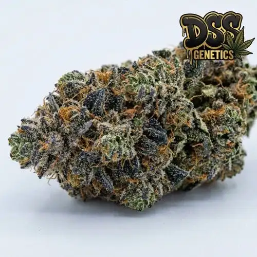 Amnesia Blue Headband Feminized Seeds cannabis seeds