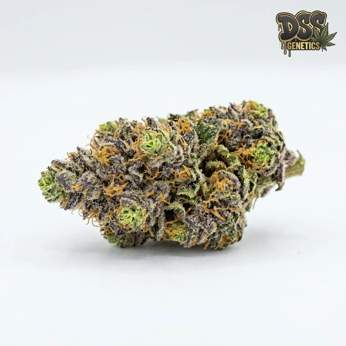 Amnesia Blue Headband grow guide