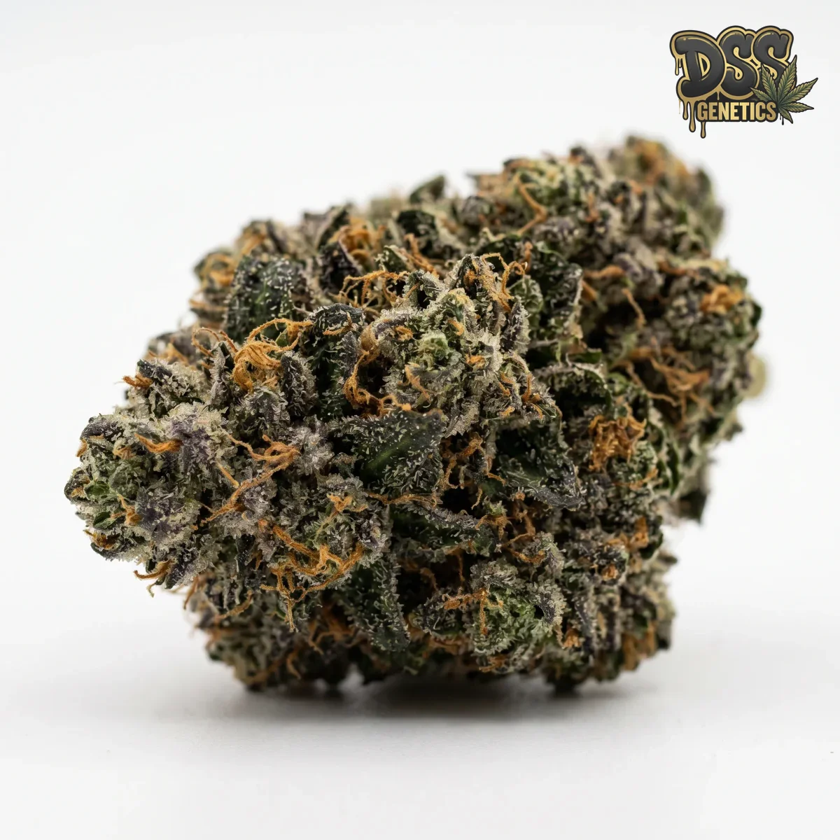 Badazz Rolex grow guide