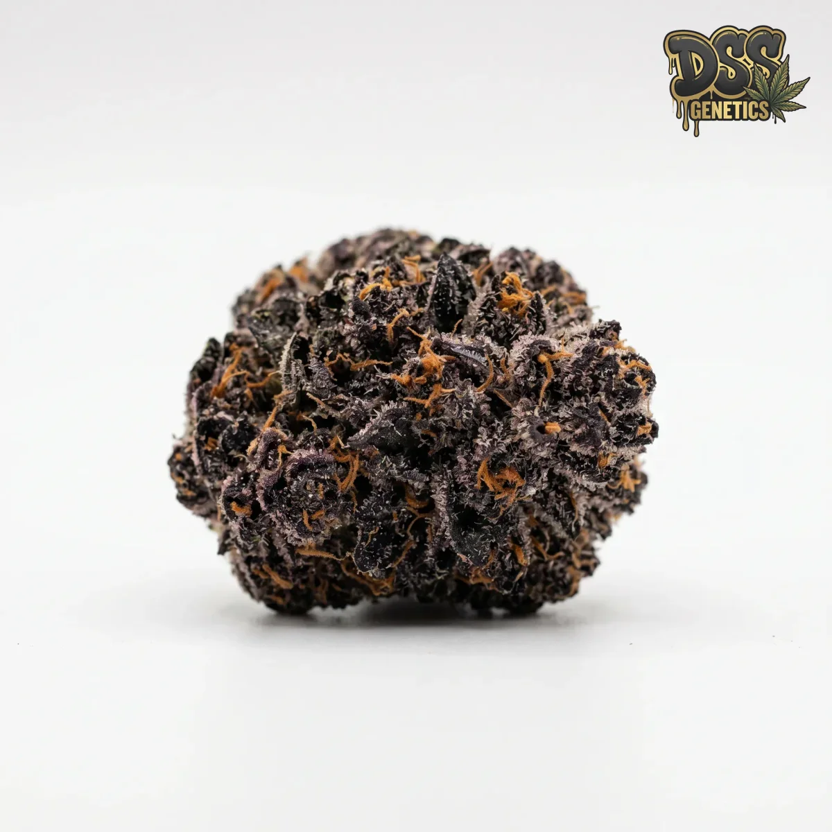 Blackberry Kush grow guide