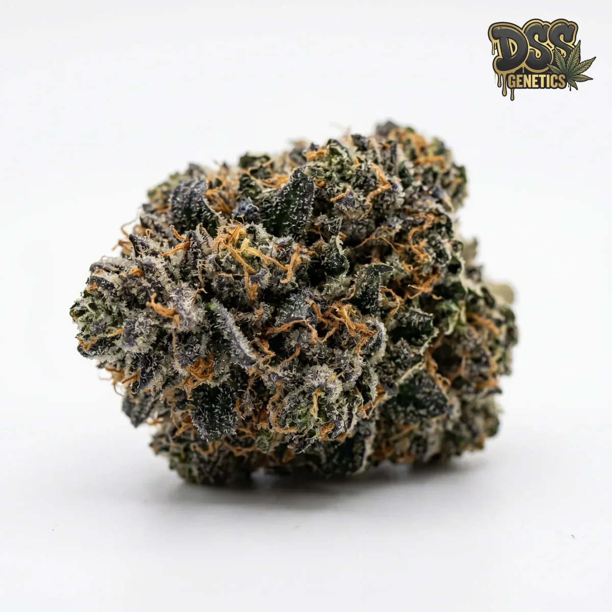 Blue Cheese Feminized Seeds cannabis seeds