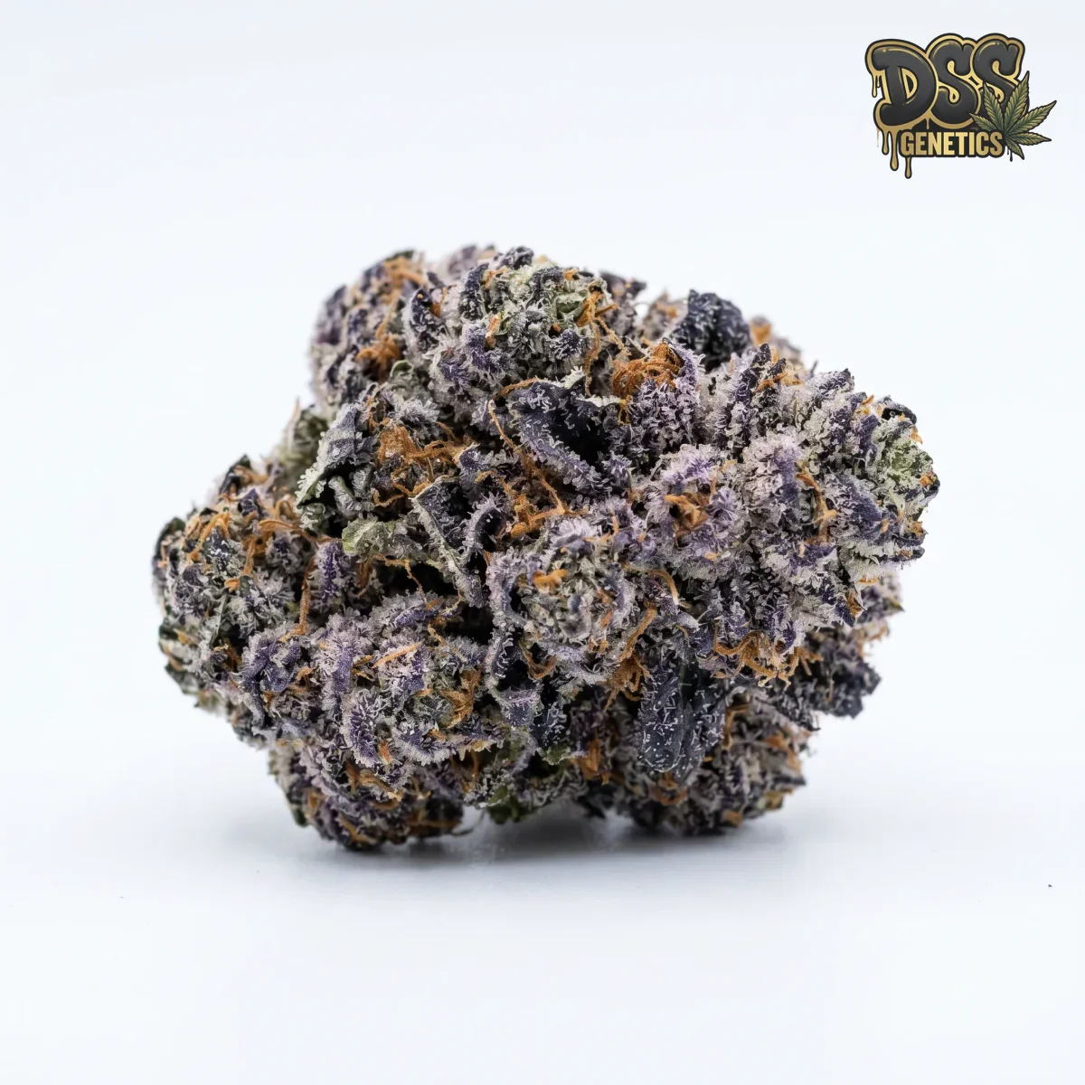 Blue Cookies Feminized Seeds cannabis seeds