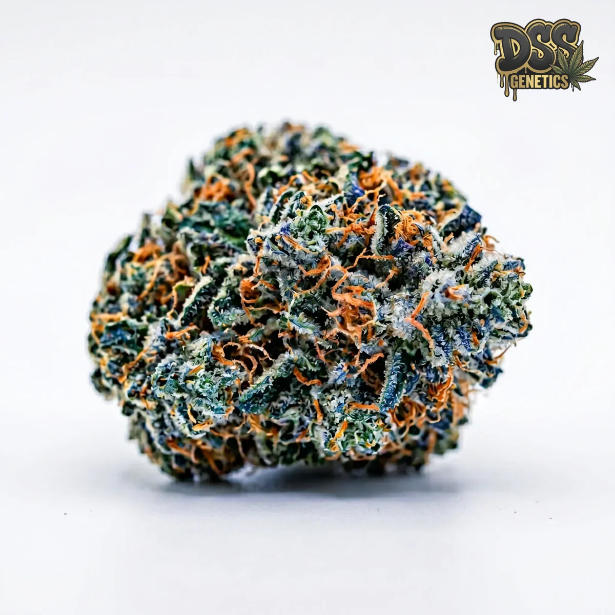 Blue Mystic grow guide
