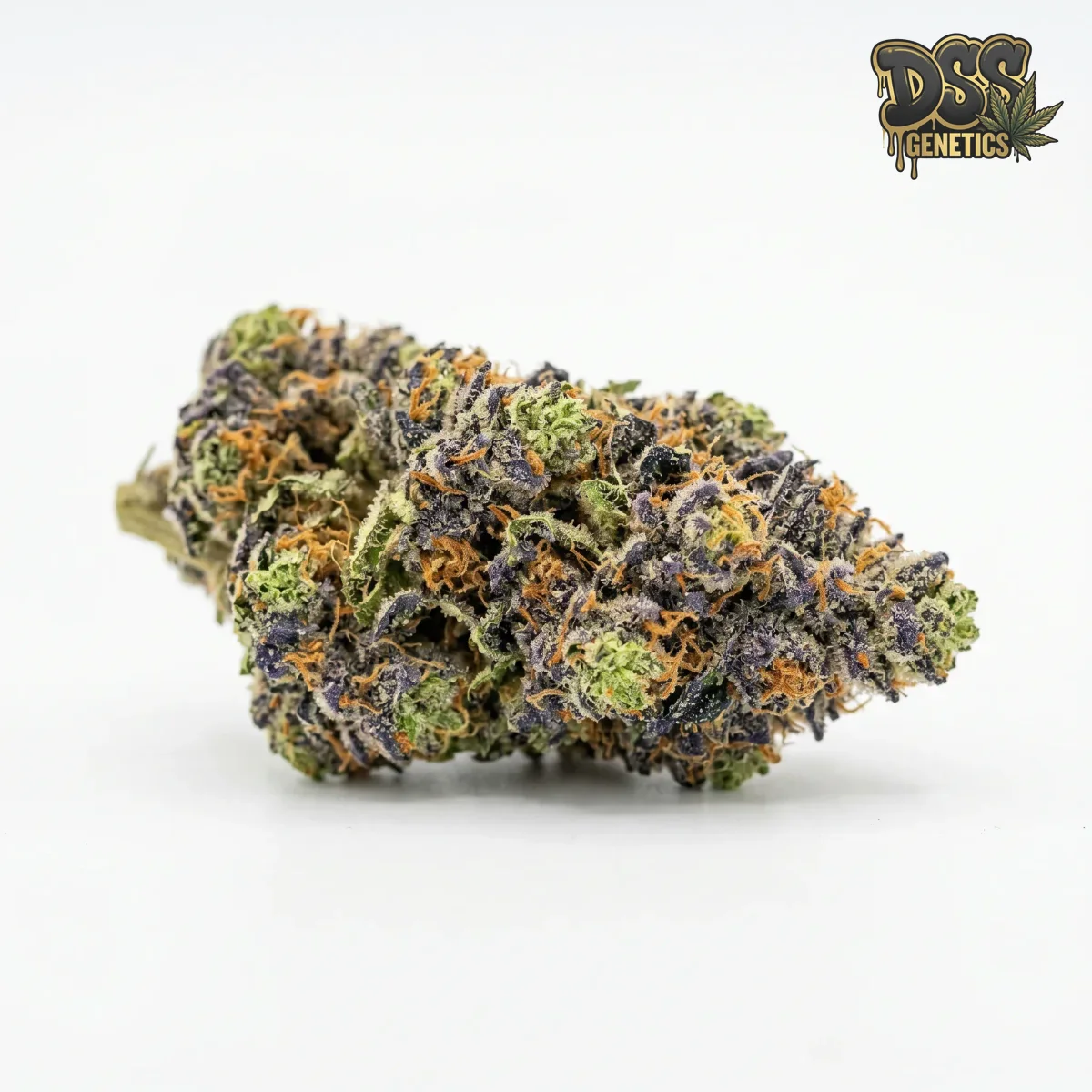 Blueberry Haze grow guide