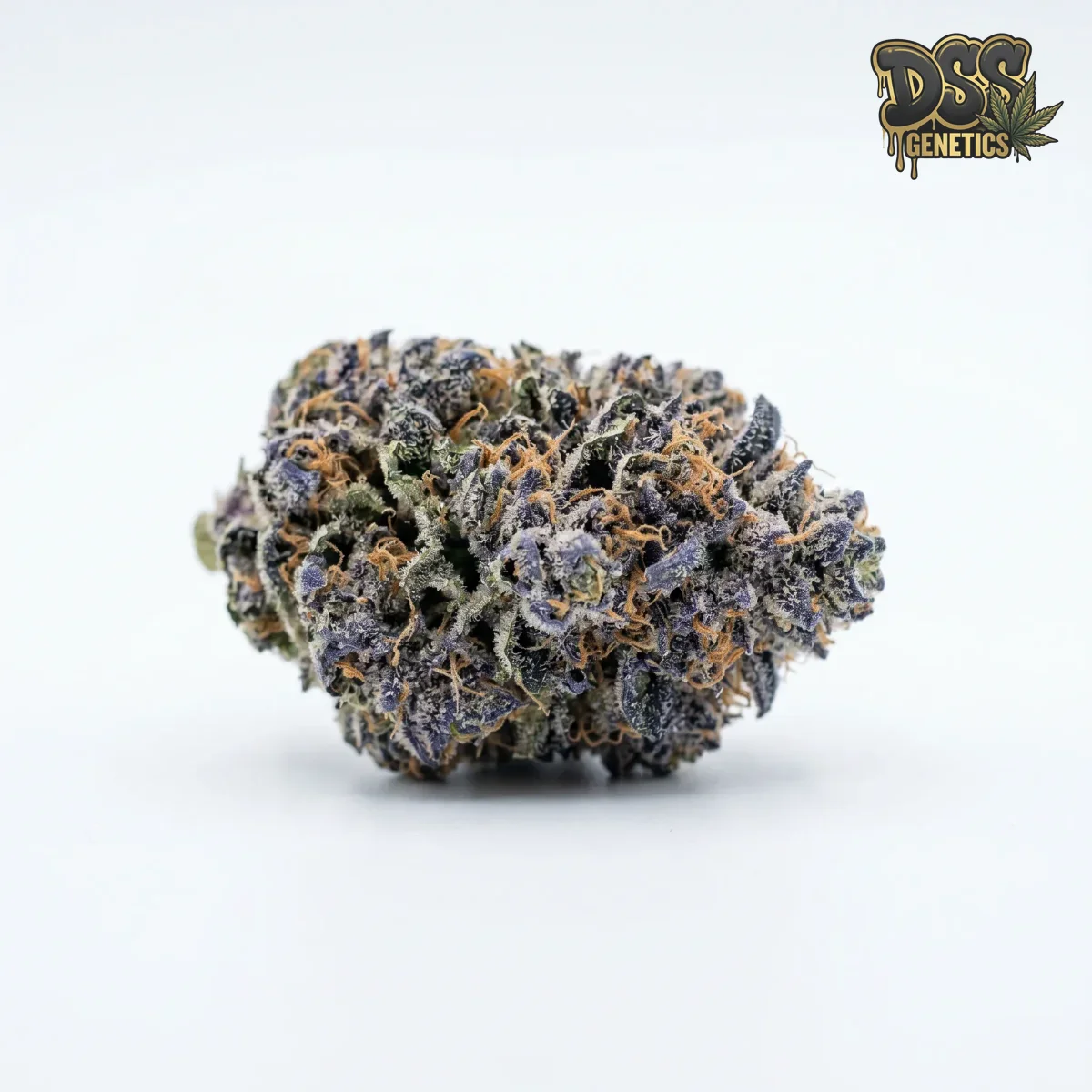 Blueberry Strain grow guide