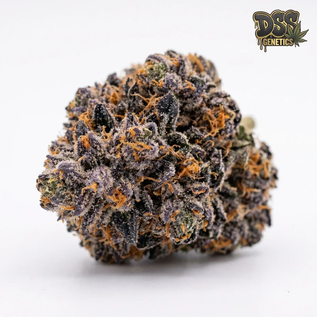 Blueberry Yum Yum grow guide