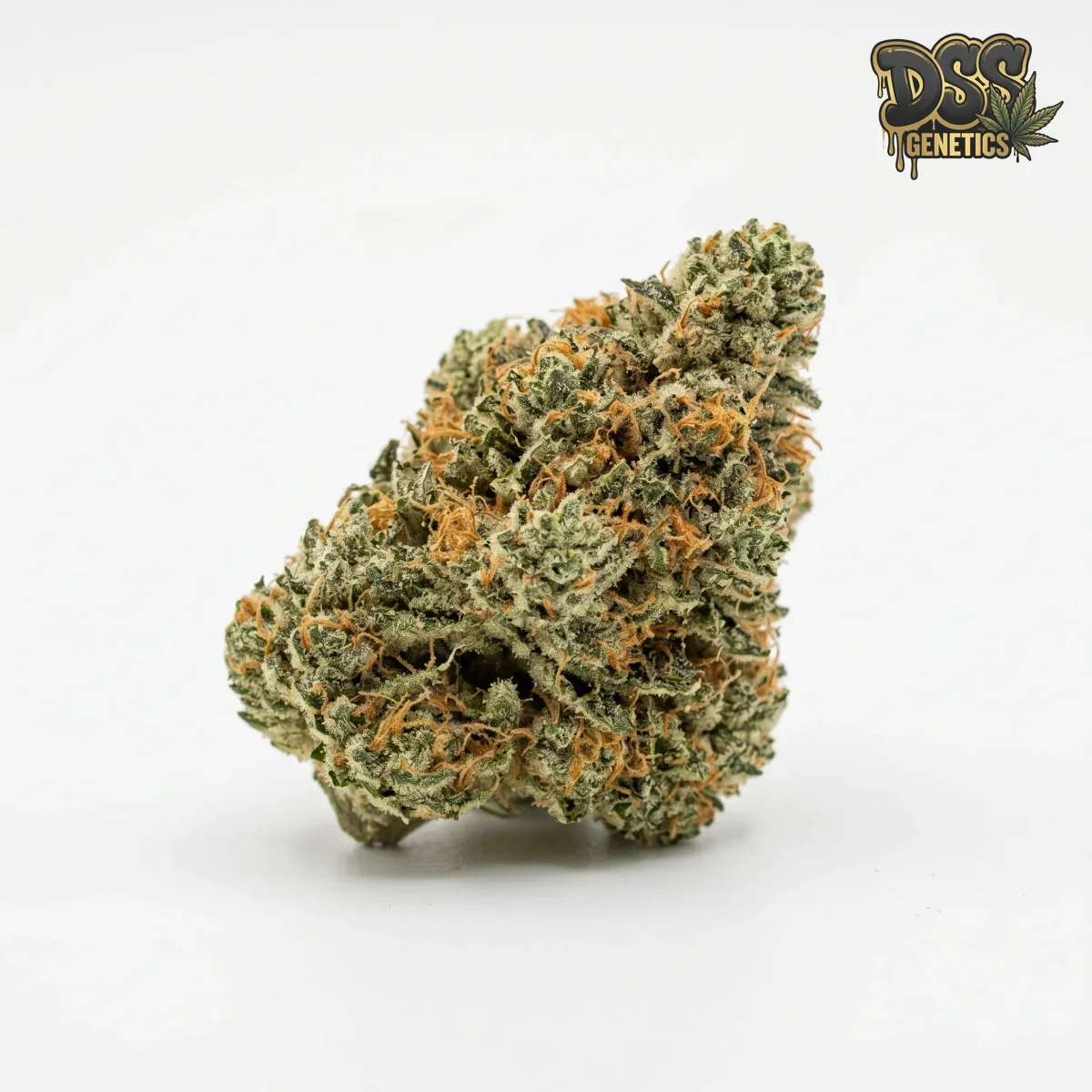 Borderliner XTRM Feminized Seeds cannabis seeds