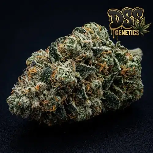 Bruce Banner cannabis seeds