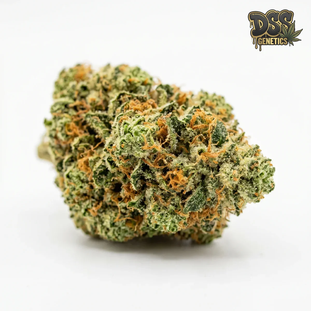 Bruce Banner grow guide