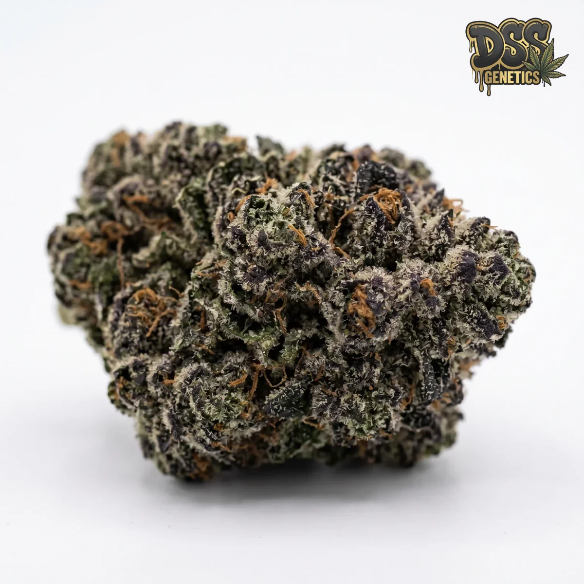 Bubba Kush Feminized Seeds cannabis seeds