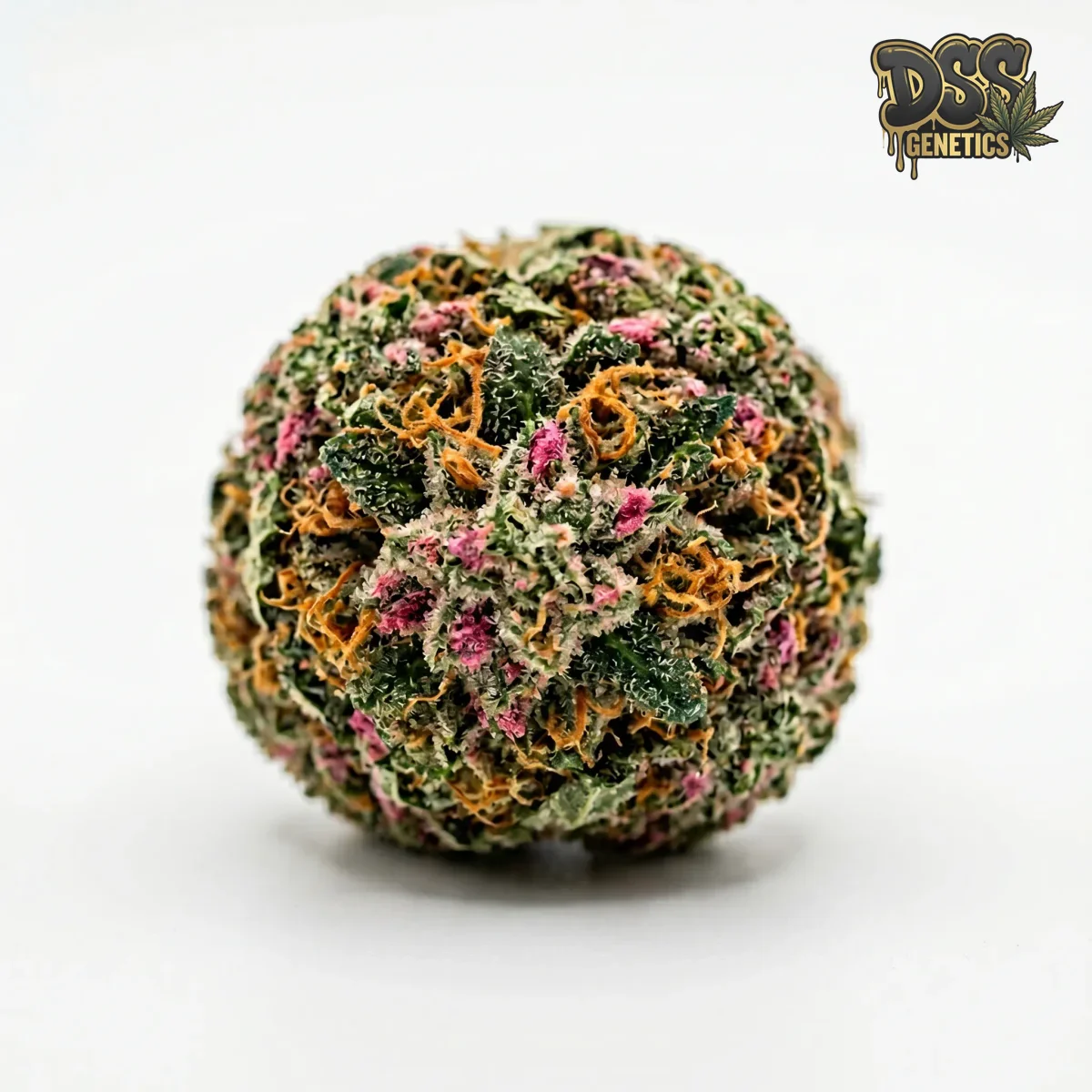 Bubble Gum grow guide