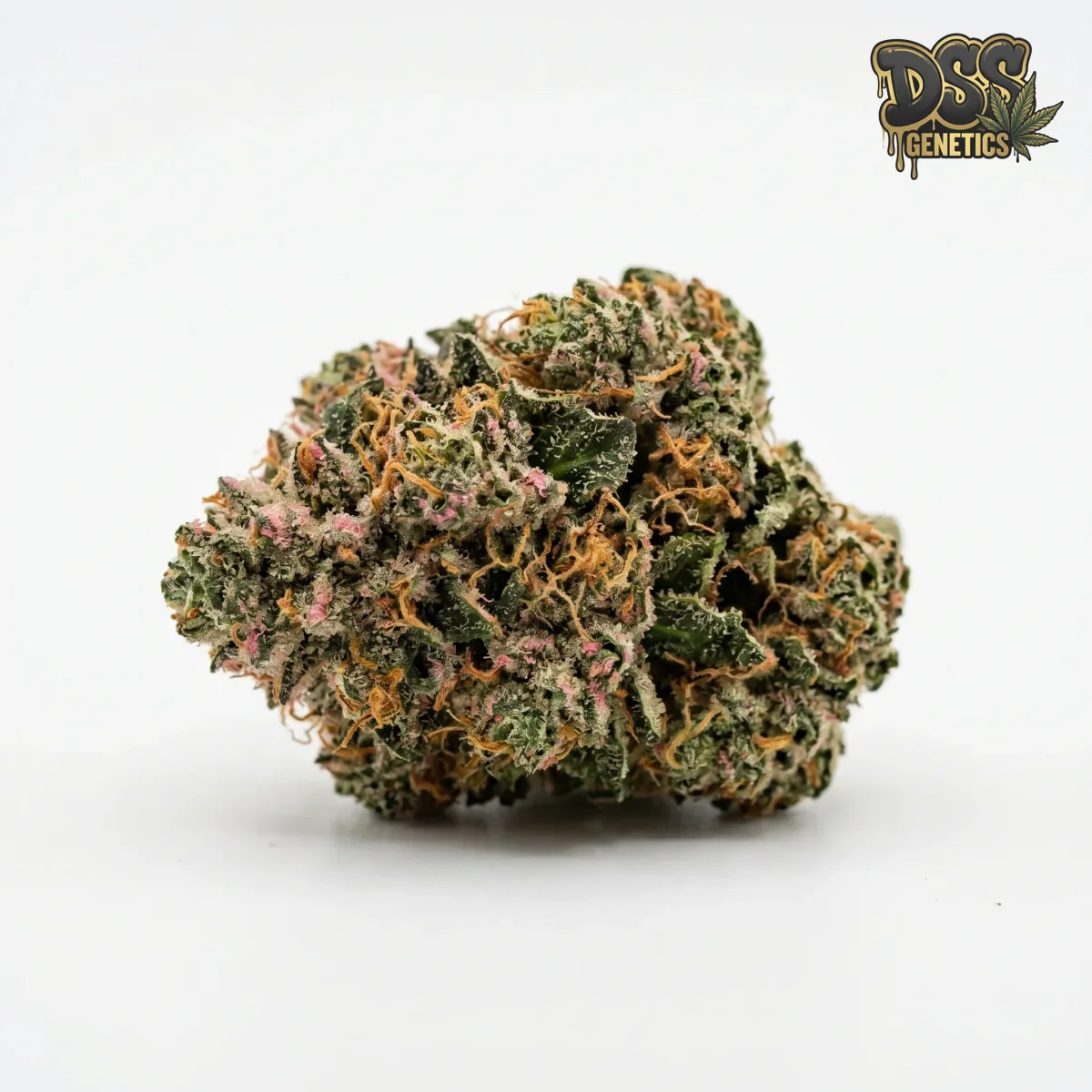 Bubblegum Cookies Feminized Seeds cannabis seeds