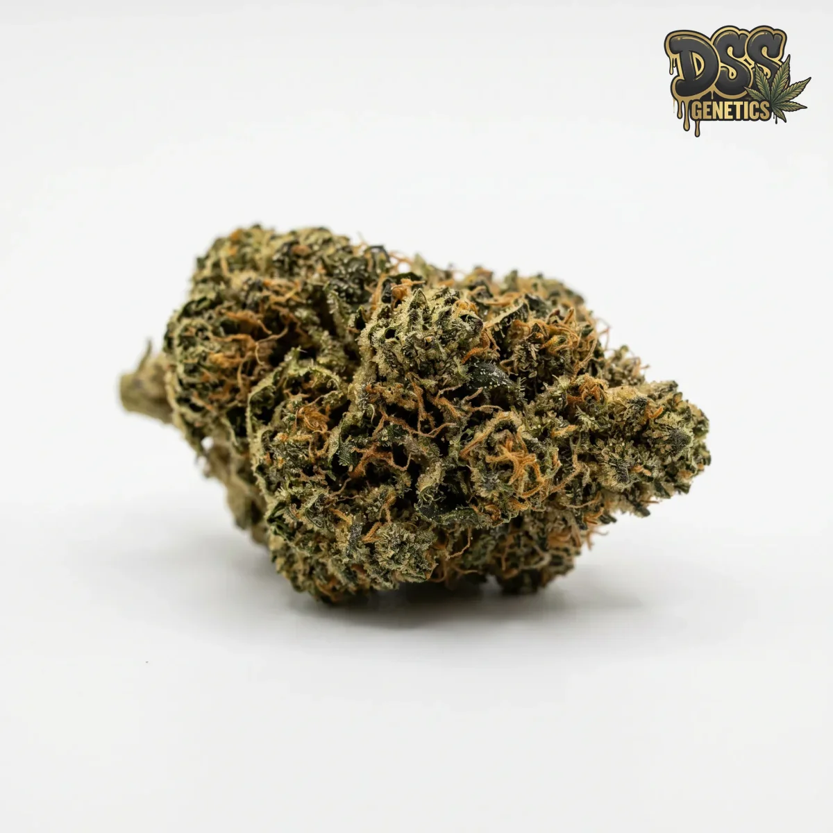 Chemdog #4 Feminized Seeds cannabis seeds