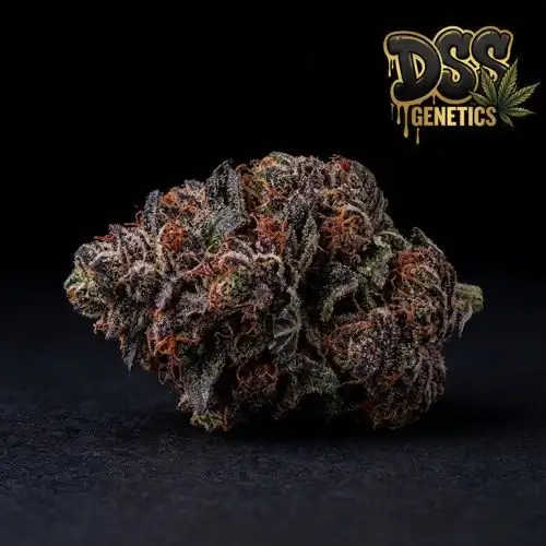 Cherry Pie Feminized Seeds cannabis seeds