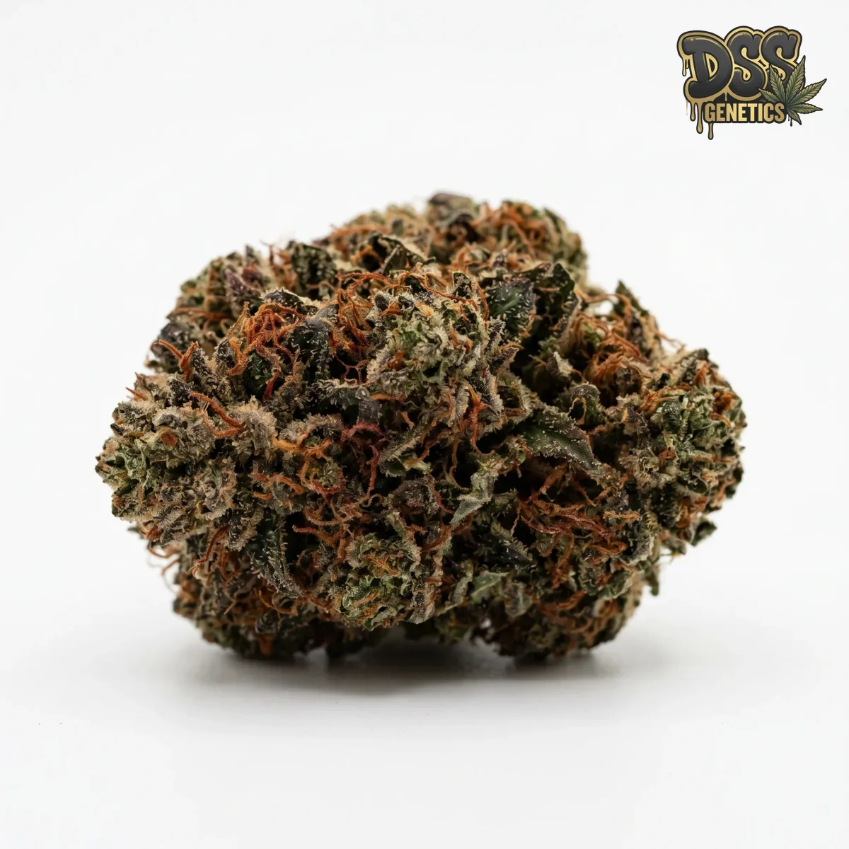 Cherry Pie grow guide