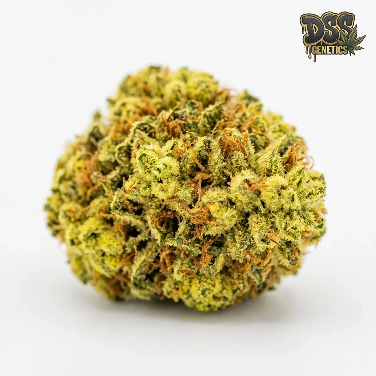 Citral grow guide