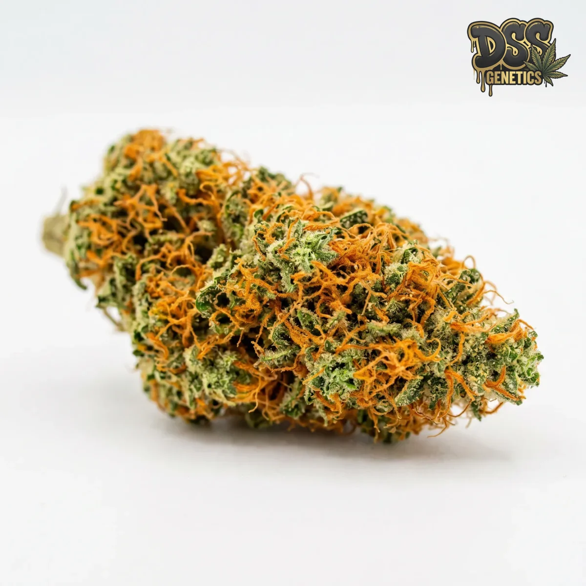 Clementine Strain grow guide