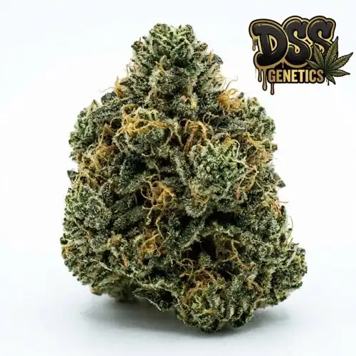 Critical + 2.0 grow guide