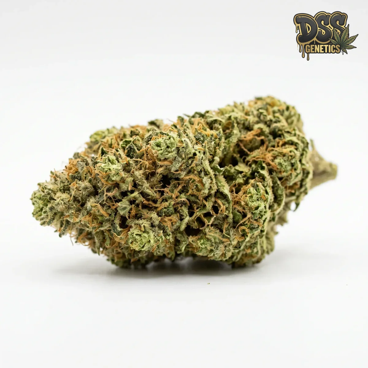 Critical + 2.0 grow guide