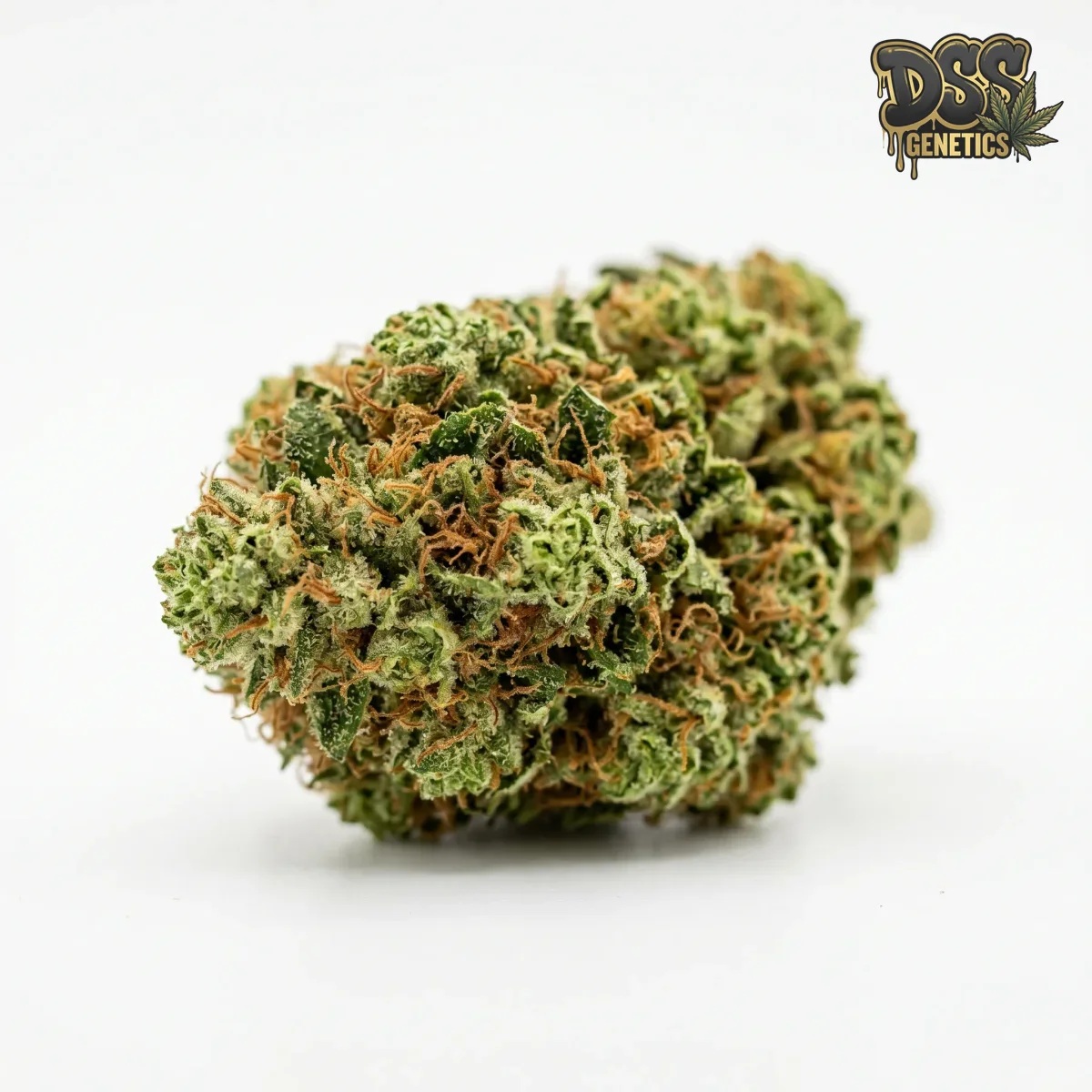 Critical Mass grow guide