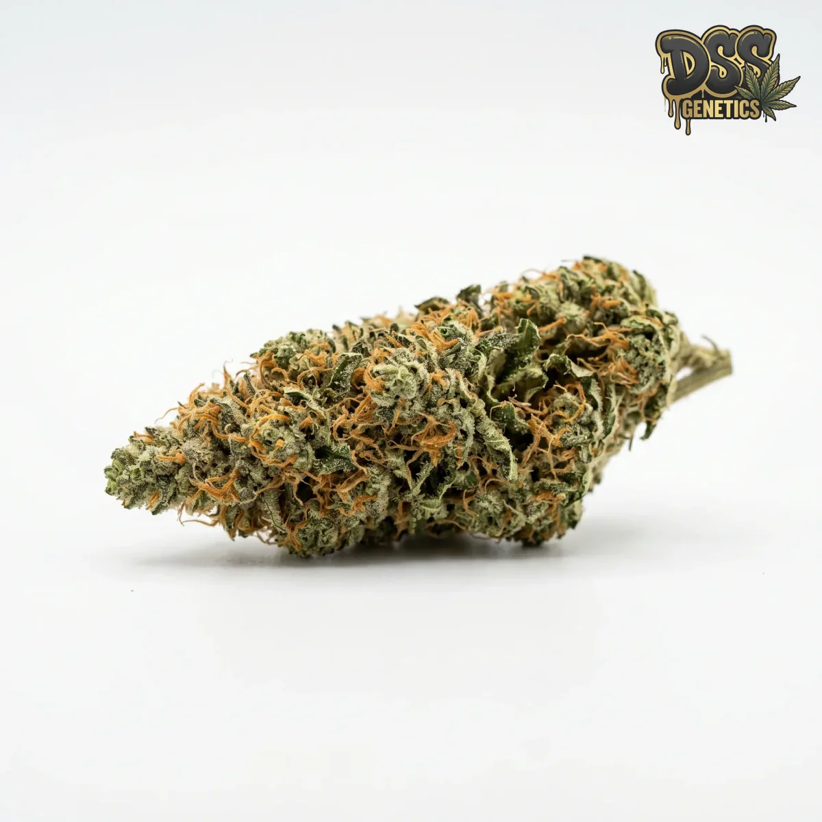 Durban Poison grow guide