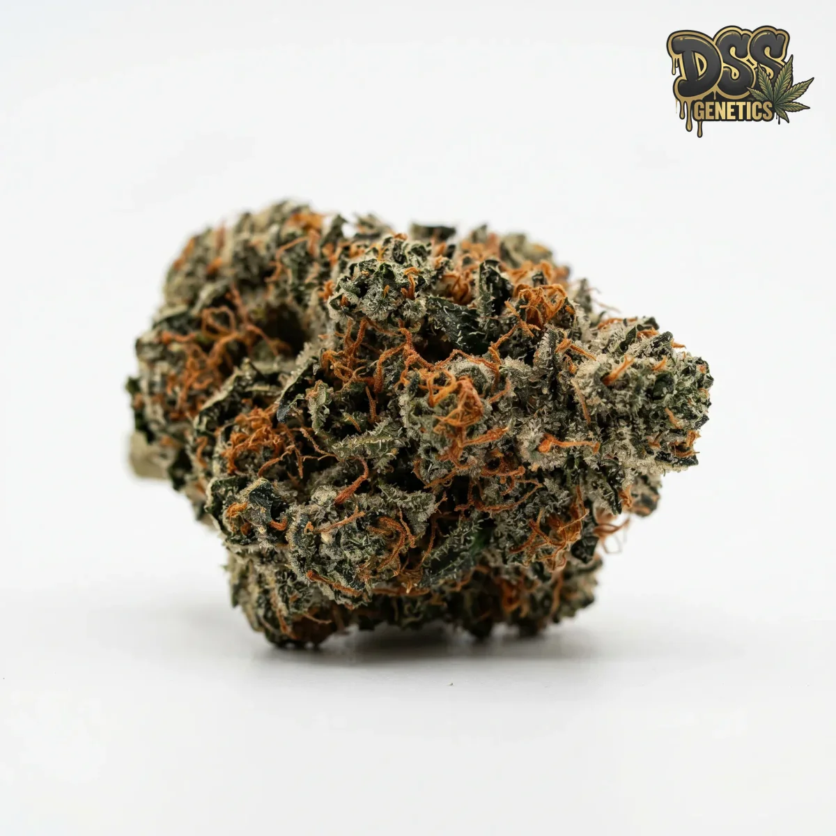 Fire OG grow guide
