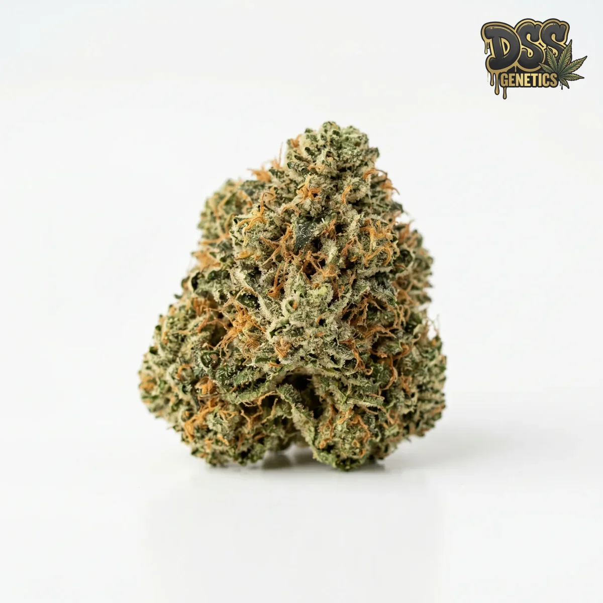Four Way grow guide