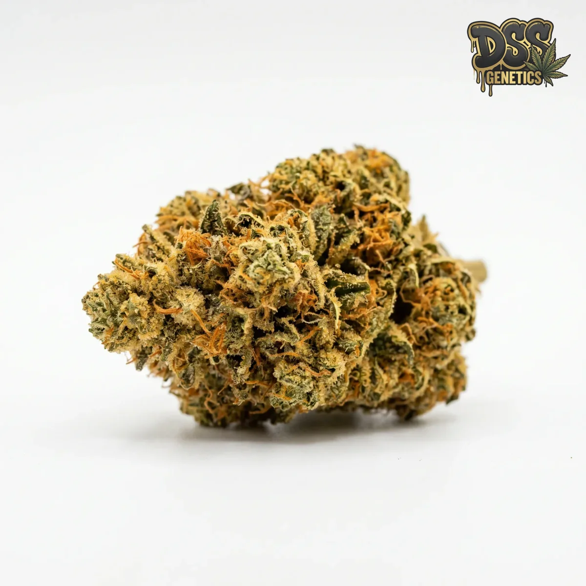 Golden Goat grow guide