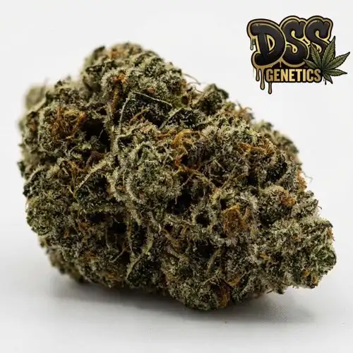 Gorilla Glue cannabis seeds