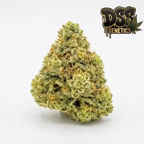 Gorilla Glue Lemon Feminized Seeds cannabis seeds