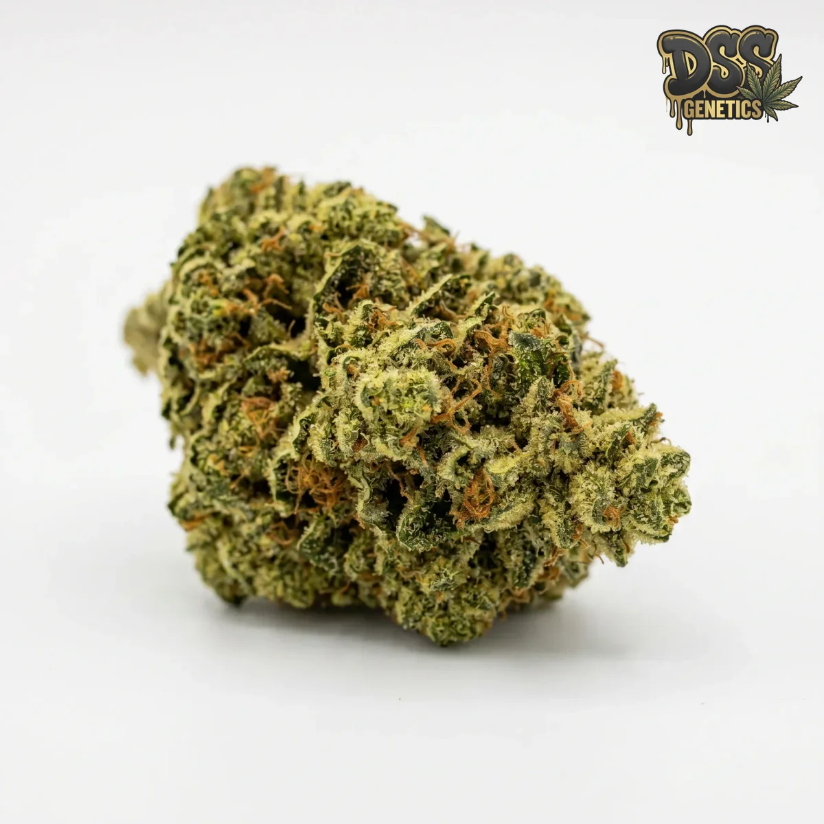 Gorilla Glue Lemon Feminized Seeds cannabis seeds