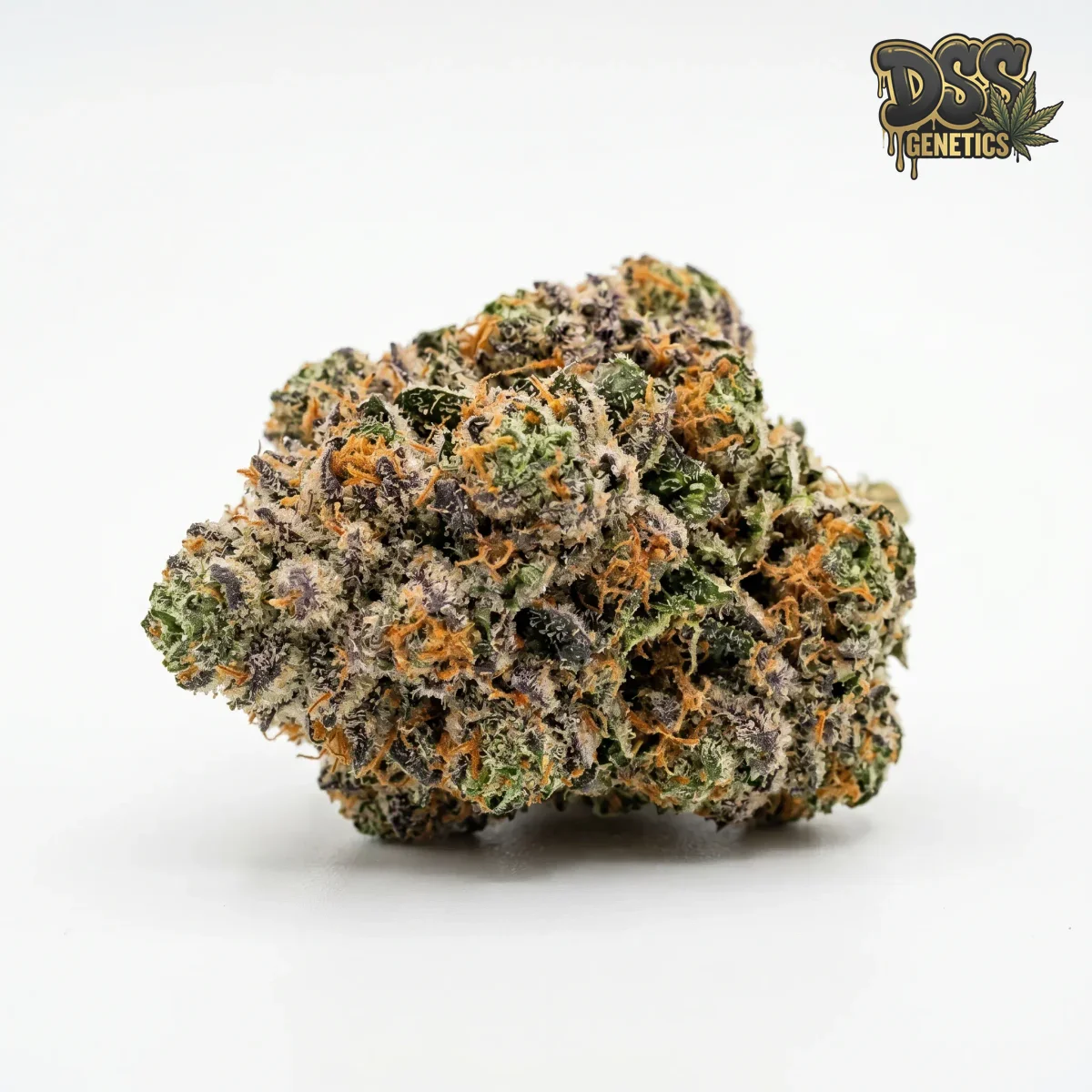 Gorilla Zkittlez grow guide