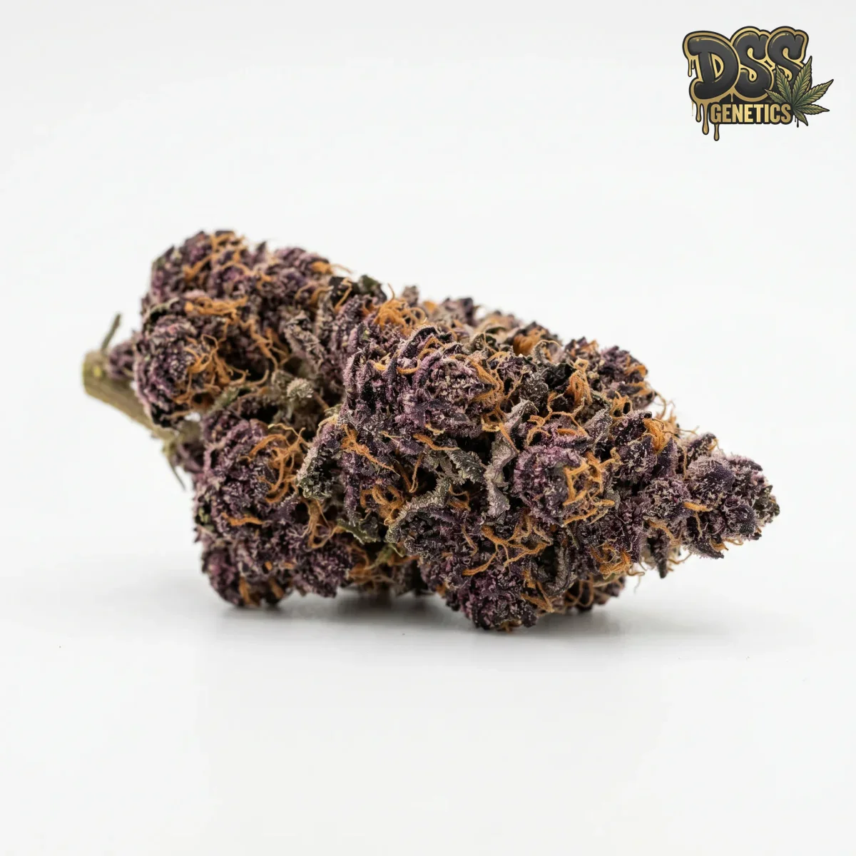 Grape Stomper Feminized Seeds cannabis seeds