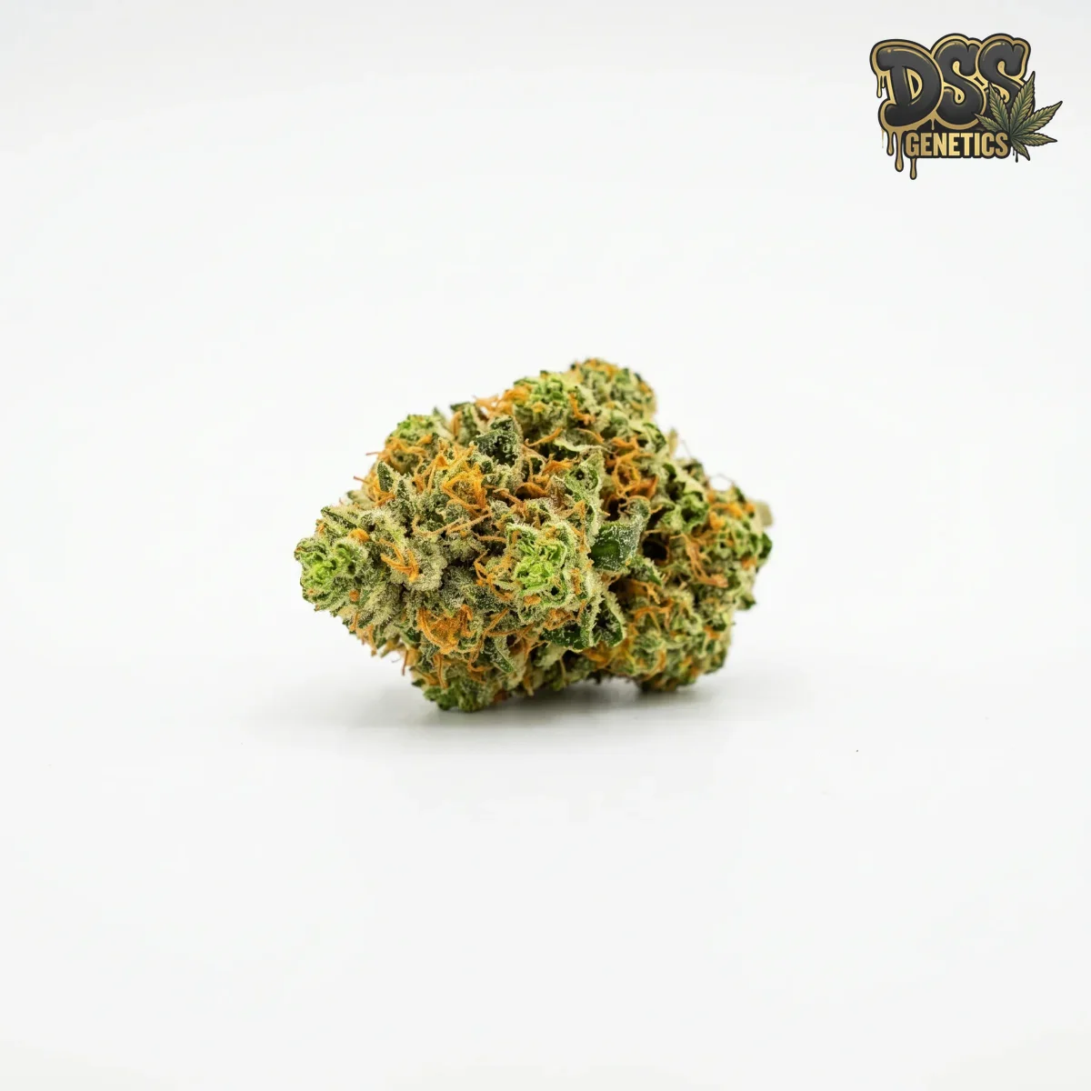 Green Crack Feminized Seeds cannabis seeds