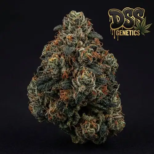 Hellfire OG Feminized Seeds cannabis seeds