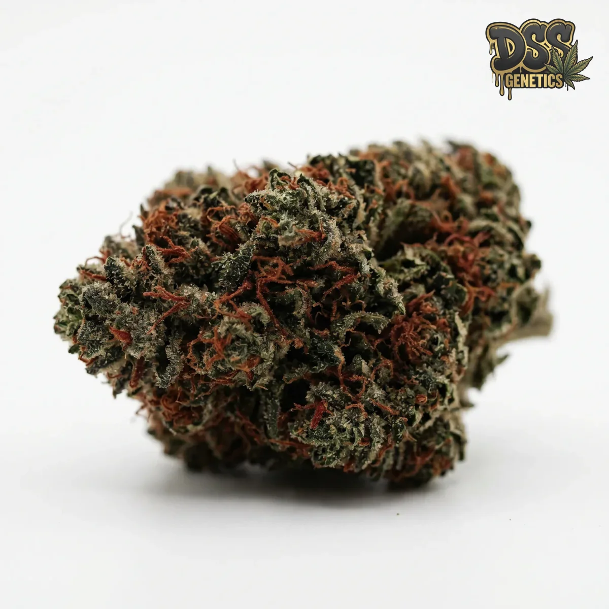 Hellfire OG Feminized Seeds cannabis seeds