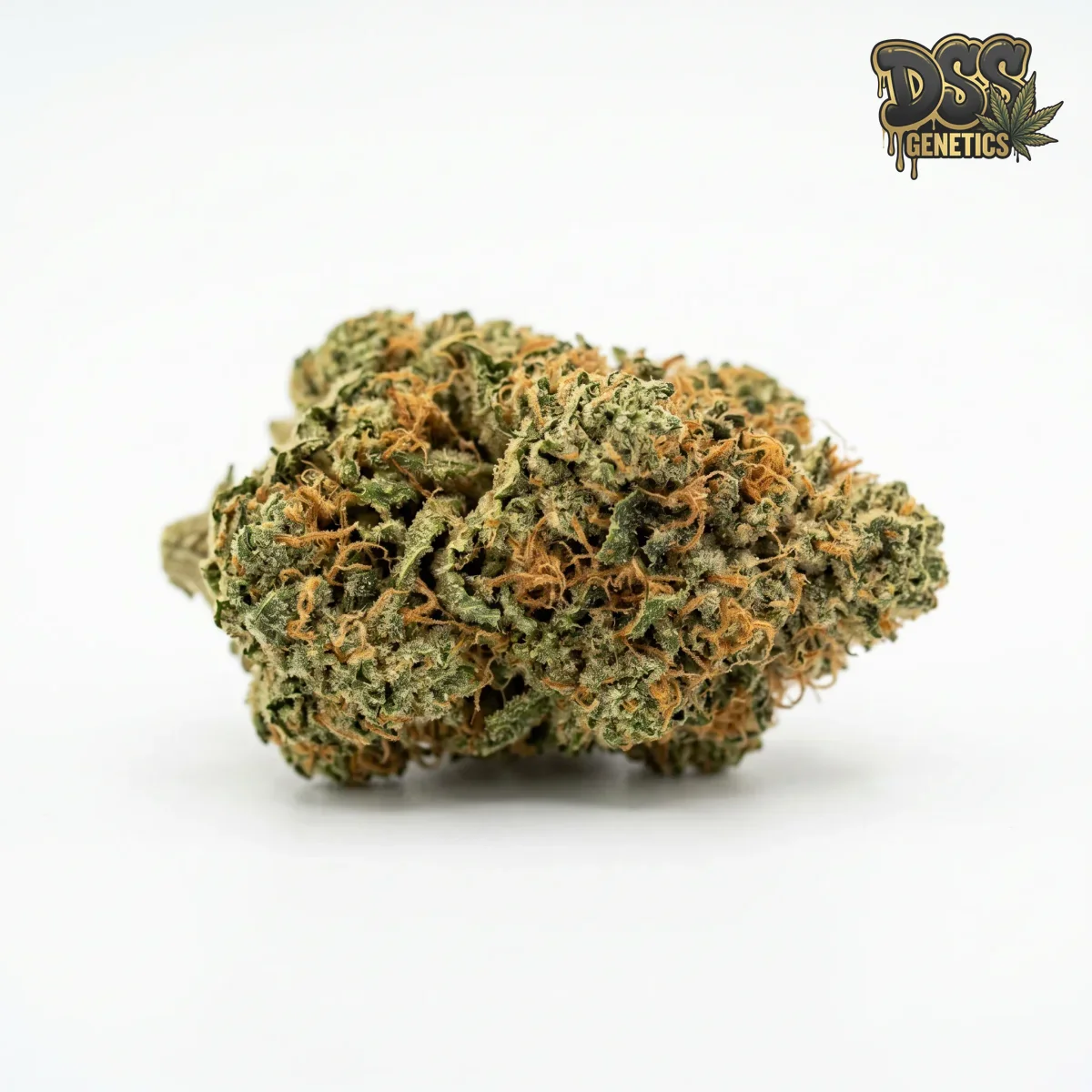 Hollands Hope grow guide