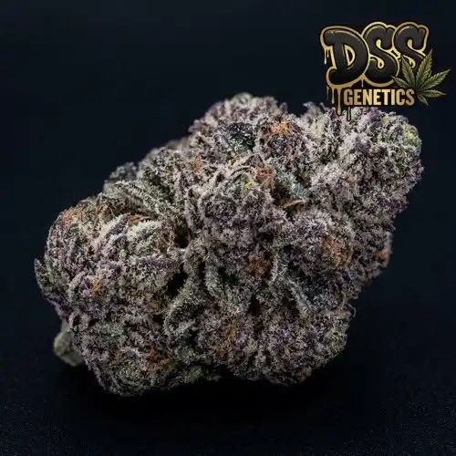 Ice Cream Cake Feminized Seeds cannabis seeds