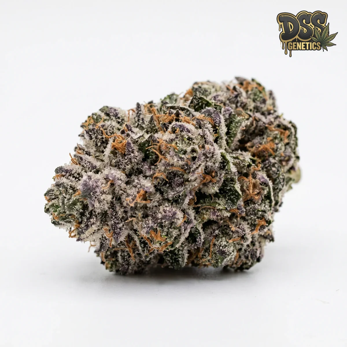 Ice Cream Cake grow guide