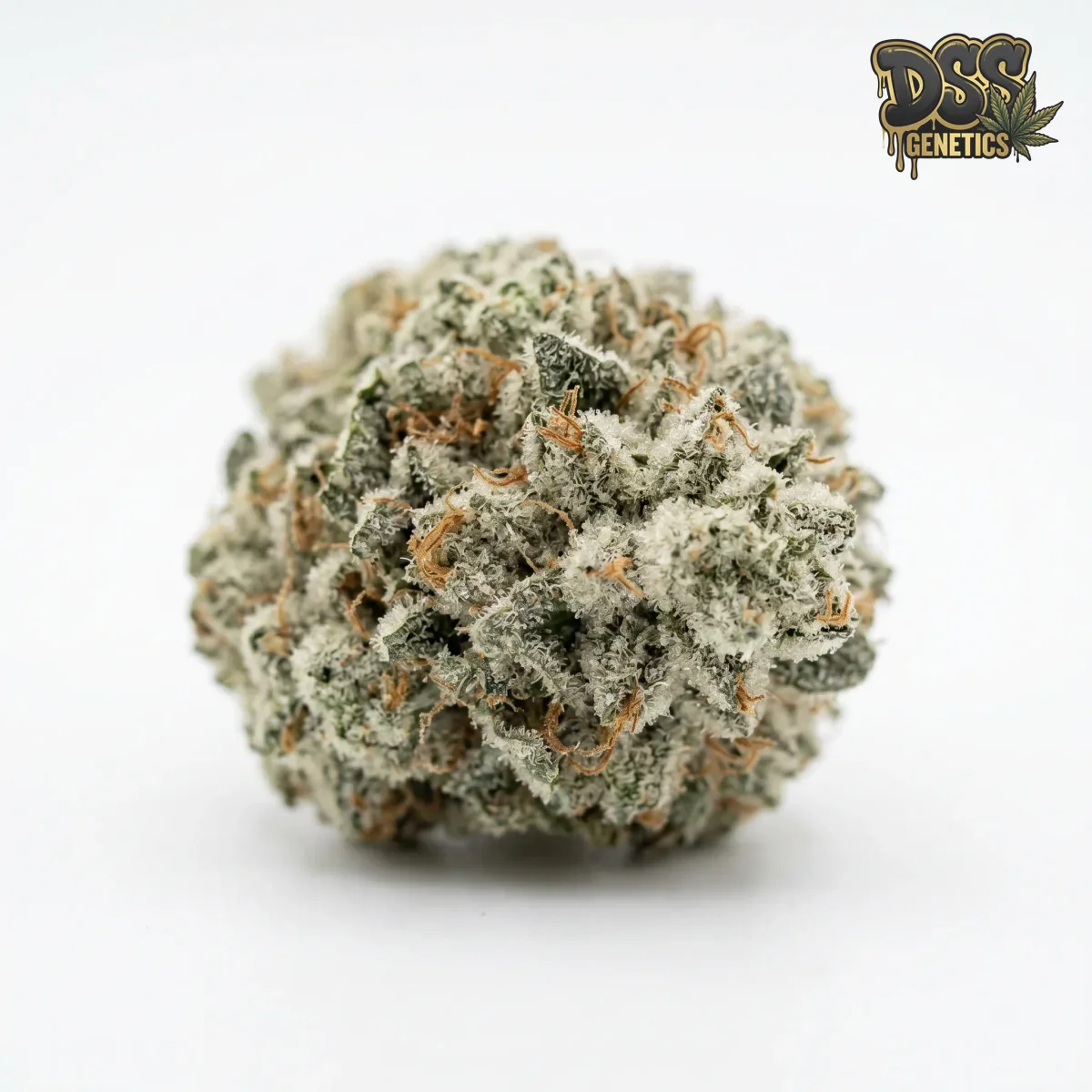 Ice grow guide