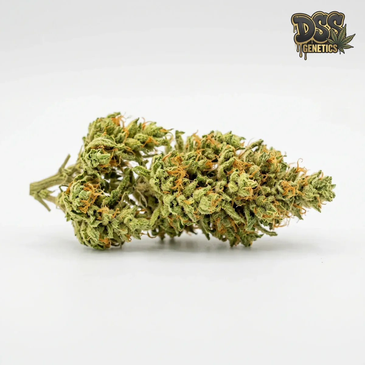 Kali Mist Feminized Seeds cannabis seeds