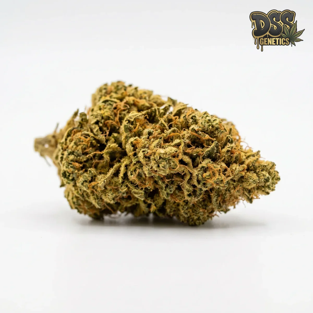 Kaya Gold grow guide