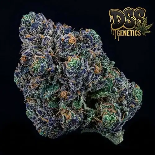 Kushberry Feminized Seeds cannabis seeds