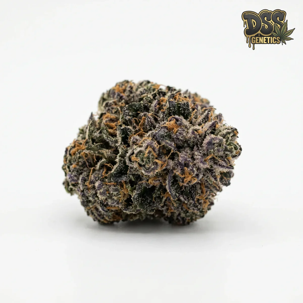 Kushberry grow guide