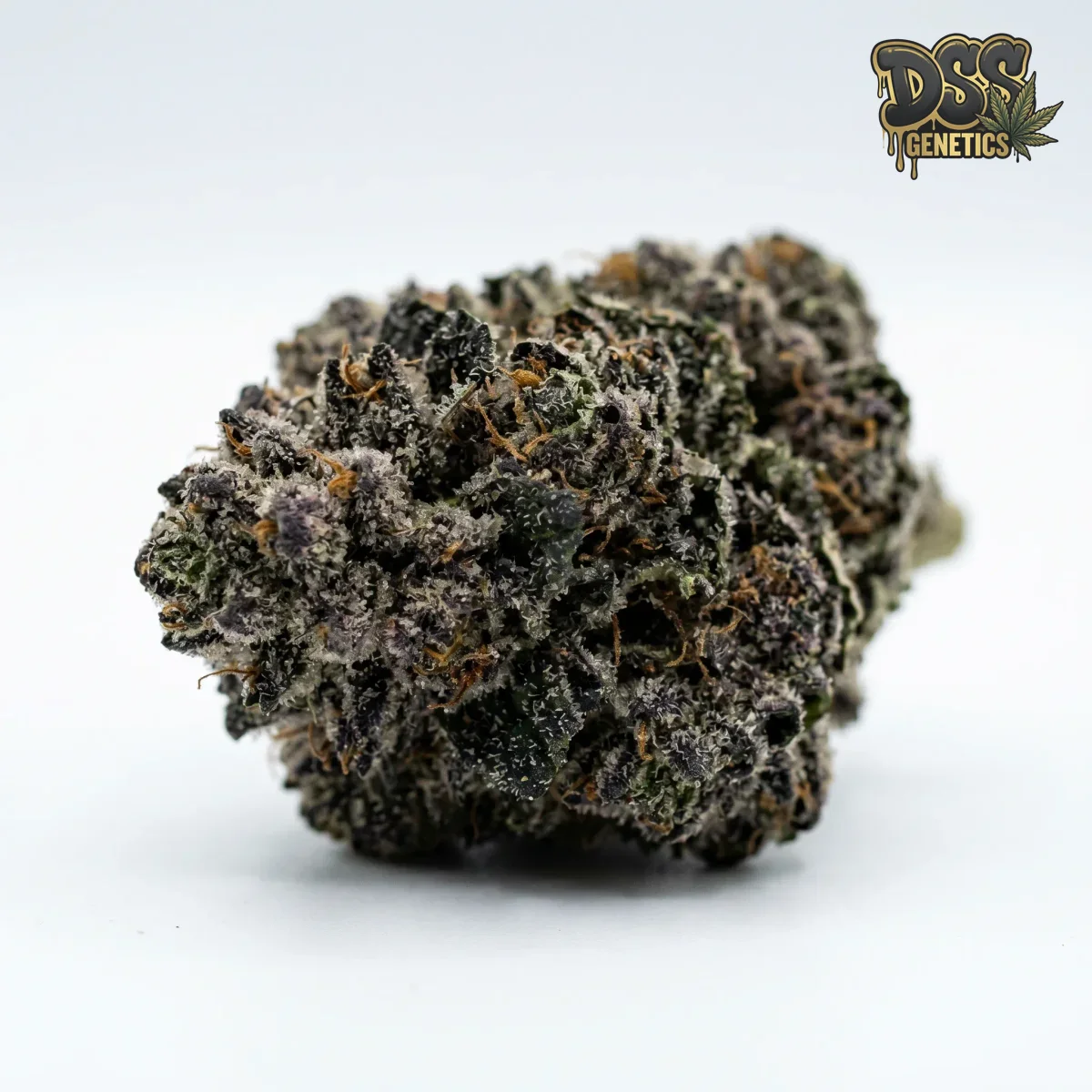 LA Confidential Feminized Seeds cannabis seeds